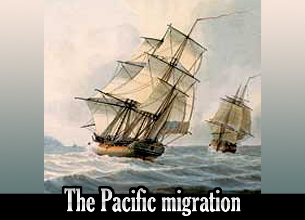 The Pacific migration