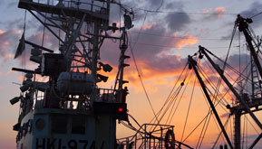 It comes from the origins of language