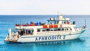 Their guy owners name them after important women in their lives