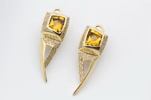 Beautifying-the-Ears-Earrings