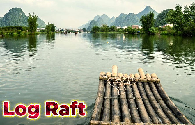 Log Raft