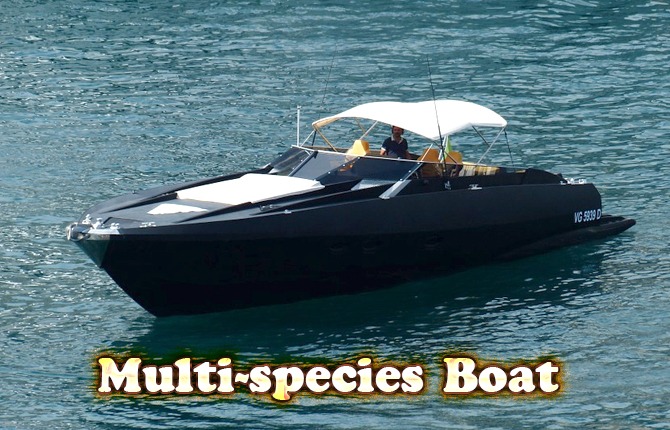 Multi-species-Boat