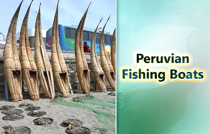 Peruvian-fishing-boats