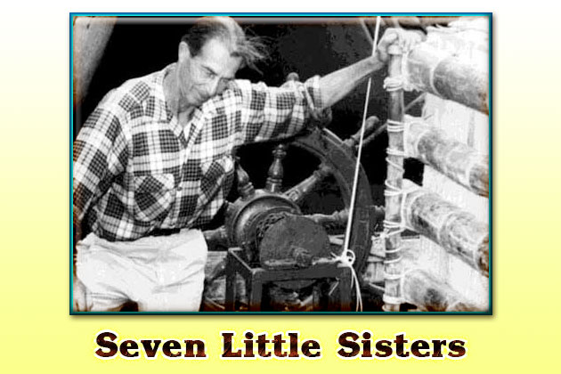 Seven-Little-Sisters