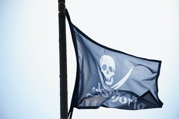 The Most Famous Pirate flag