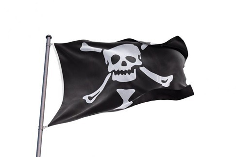 The Most Famous Pirate flag