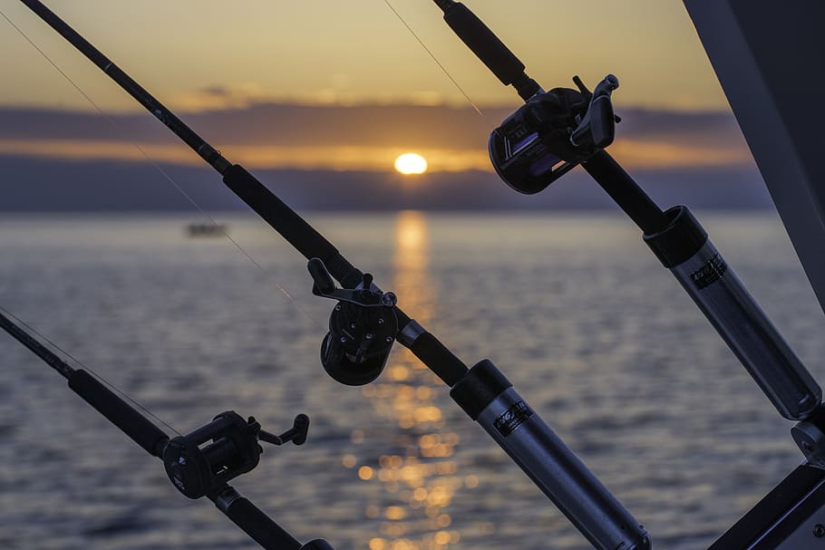 How to choose the best fishing charter