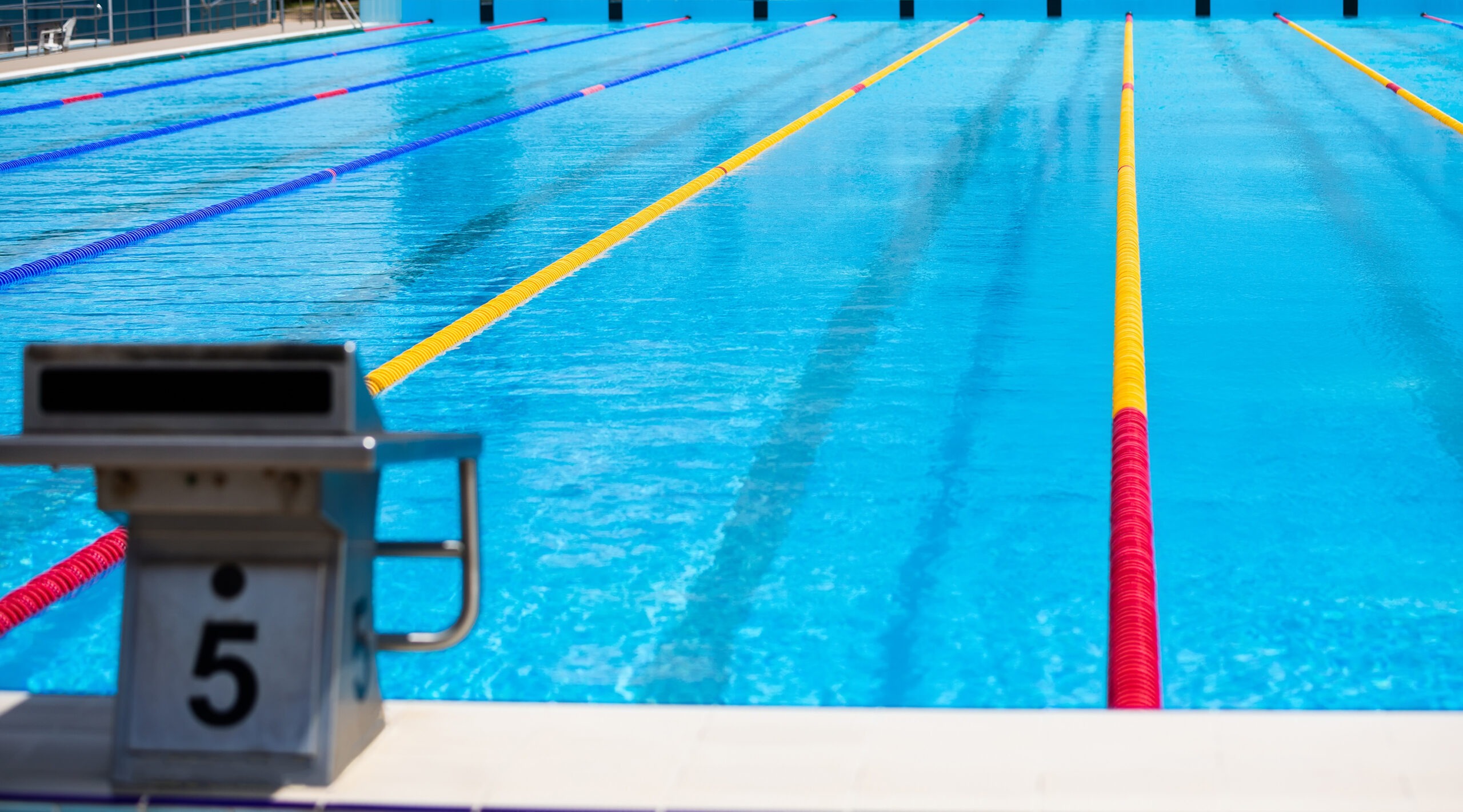 empty-swimming-pool-with-competition-lanes-for-background