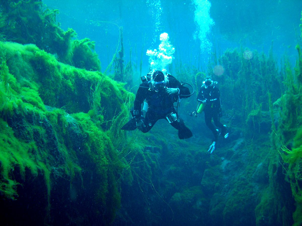 Cave_diving_at_Piccaninnie_Ponds