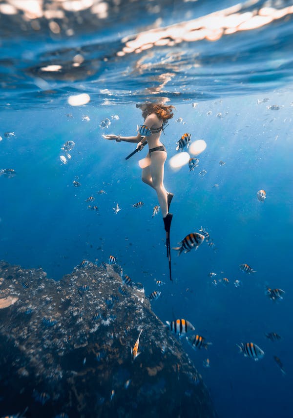 Discover the Deep World of Freediving