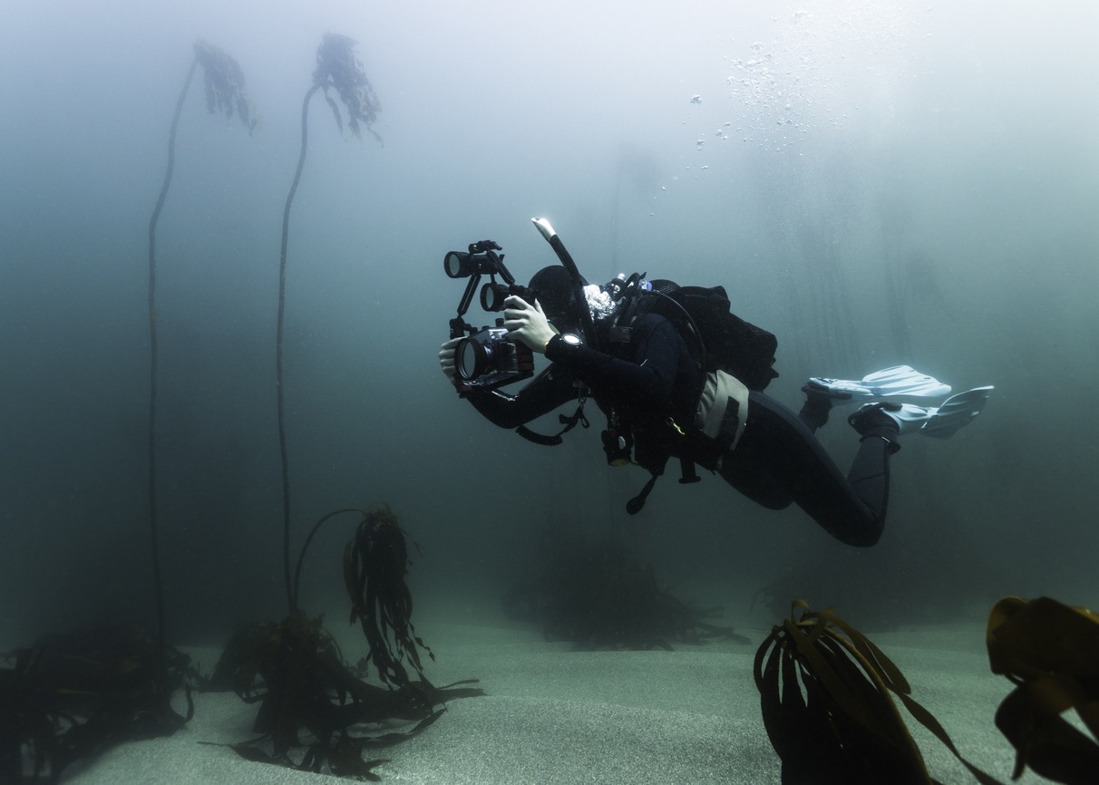 a-scuba-diver-with-a-compact-camera-taking-pictures-underwater