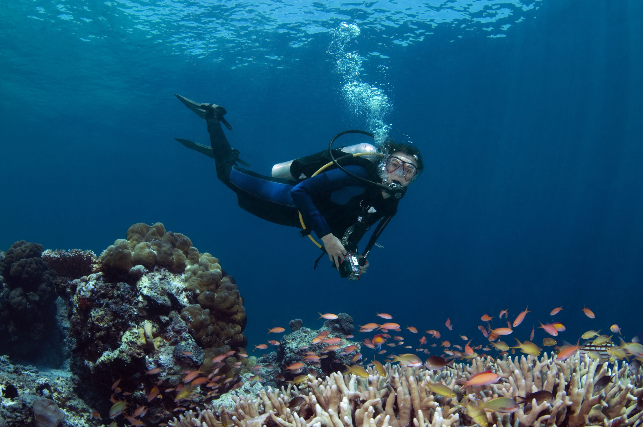 diver-above-coral-reef