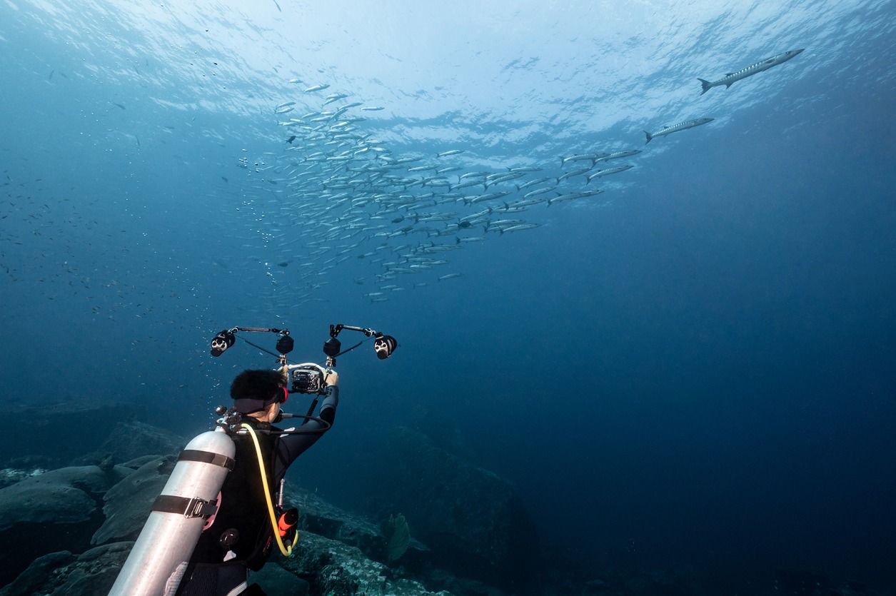 male-scuba-diver-taking-a-photo-school-of-barracuda-fish