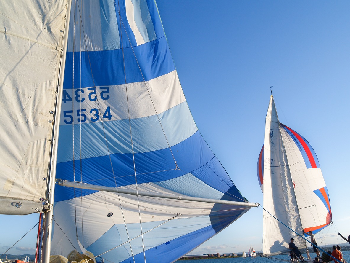 sails-up-and-filling-with-wind-on-yachts-on-harbour