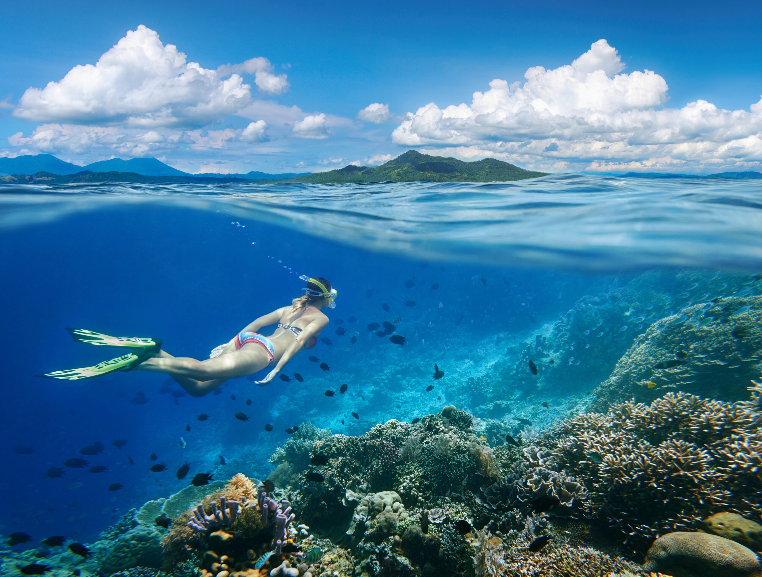 woman-swims-around-coral-reef-surrounded